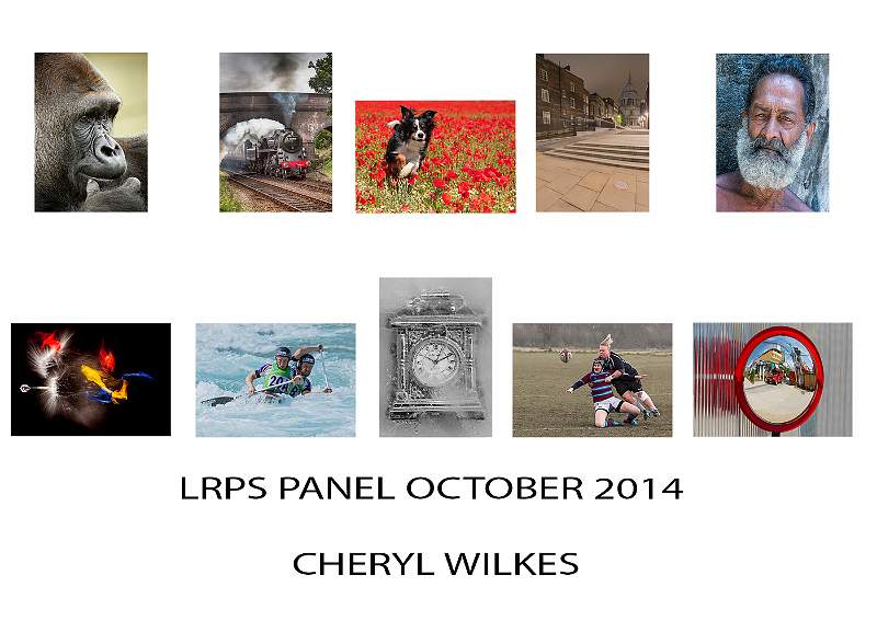 LRPS Panel Layout.jpg
